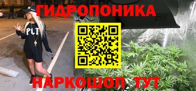 ECSTASY Славгород