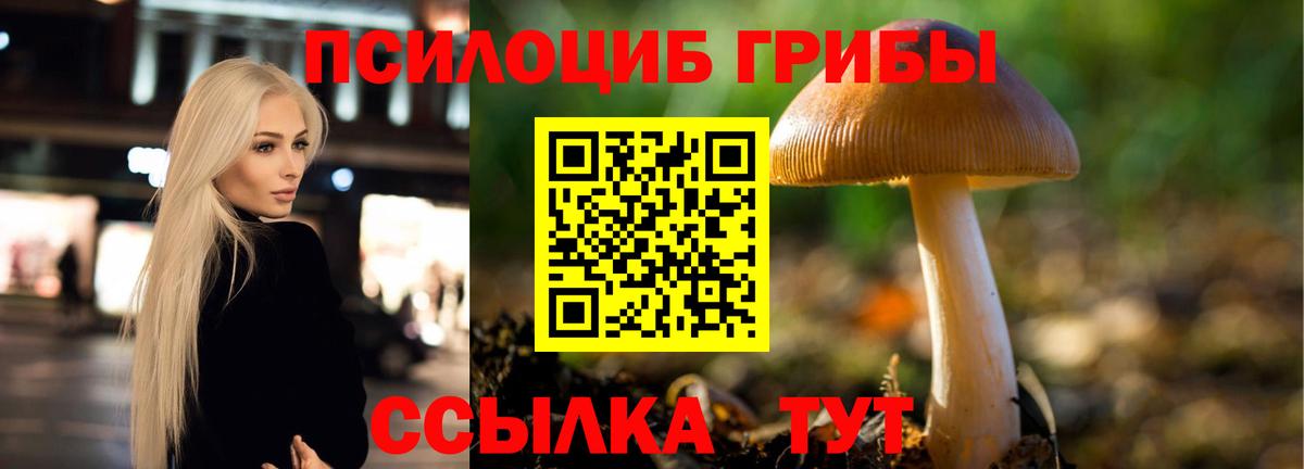 Галлюциногенные грибы Magic Shrooms Павловский Посад
